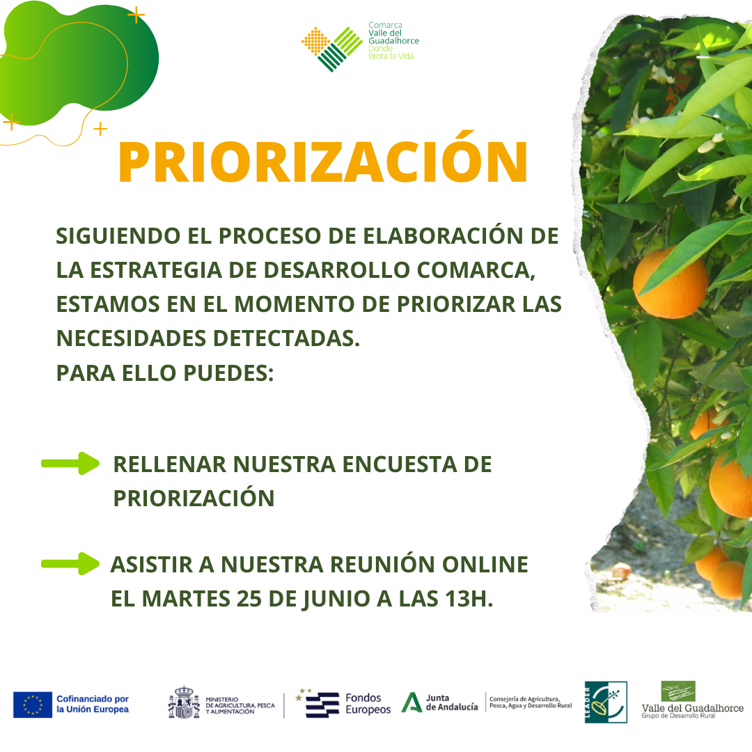 Priorizaci�n de necesidades EDLL